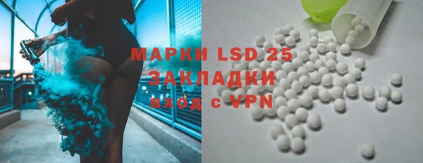 прущие грибы Армянск