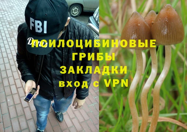 прущие грибы Армянск