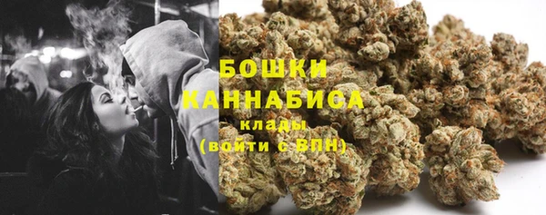 прущие грибы Армянск